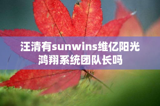 汪清有sunwins维亿阳光鸿翔系统团队长吗