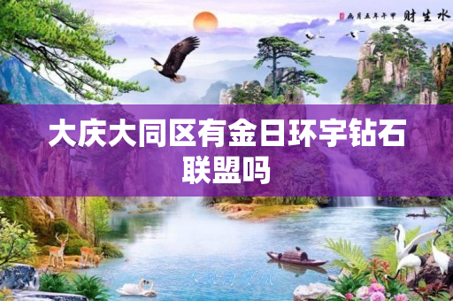 大庆大同区有金日环宇钻石联盟吗