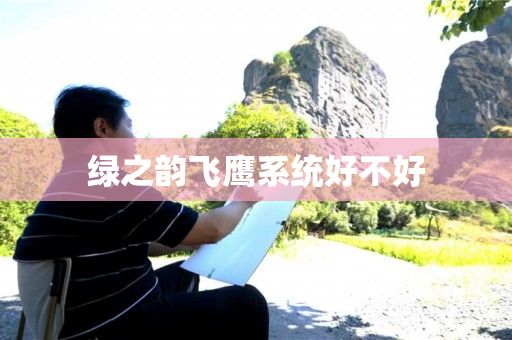 绿之韵飞鹰系统好不好