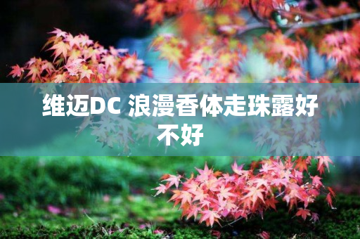维迈DC 浪漫香体走珠露好不好