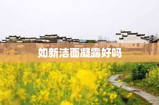 如新洁面凝露好吗
