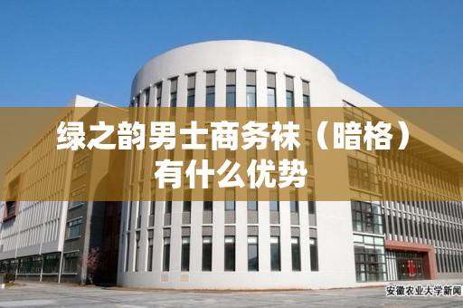 绿之韵男士商务袜（暗格）有什么优势
