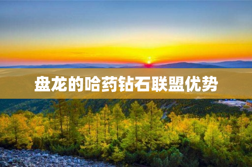 盘龙的哈药钻石联盟优势