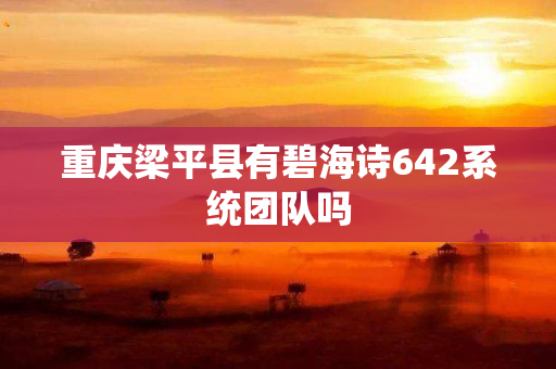 重庆梁平县有碧海诗642系统团队吗