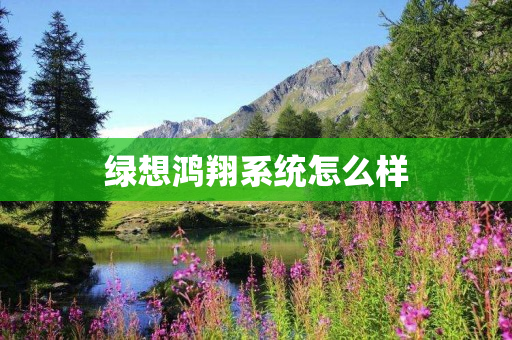 绿想鸿翔系统怎么样
