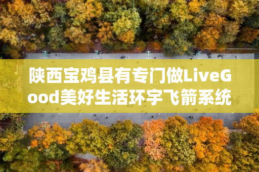 陕西宝鸡县有专门做LiveGood美好生活环宇飞箭系统的伙伴吗