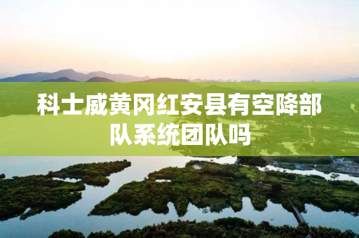 科士威黄冈红安县有空降部队系统团队吗