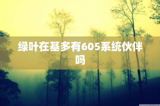 绿叶在基多有605系统伙伴吗