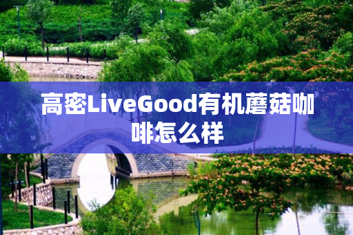 高密LiveGood有机蘑菇咖啡怎么样