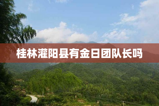 桂林灌阳县有金日团队长吗
