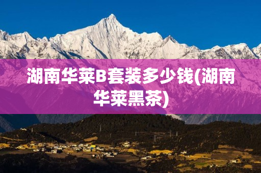 湖南华莱B套装多少钱(湖南华莱黑茶)