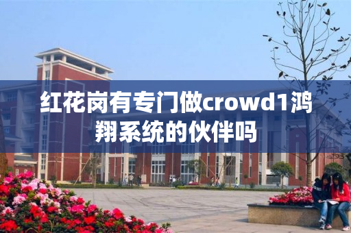 红花岗有专门做crowd1鸿翔系统的伙伴吗