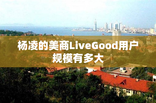杨凌的美商LiveGood用户规模有多大