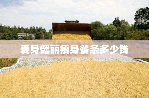 爱身健丽瘦身餐条多少钱