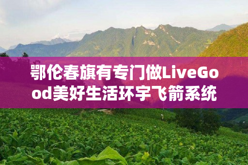 鄂伦春旗有专门做LiveGood美好生活环宇飞箭系统的伙伴吗