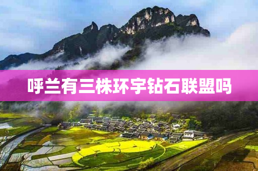 呼兰有三株环宇钻石联盟吗