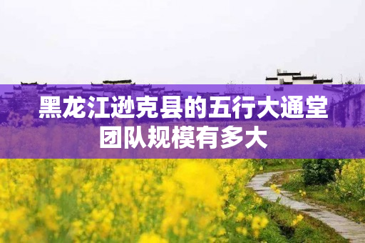 黑龙江逊克县的五行大通堂团队规模有多大
