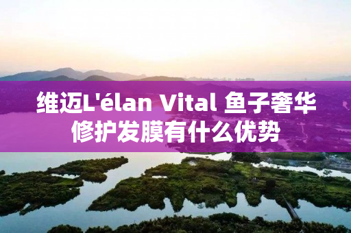 维迈L'élan Vital 鱼子奢华修护发膜有什么优势