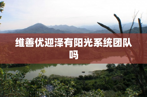 维善优迎泽有阳光系统团队吗
