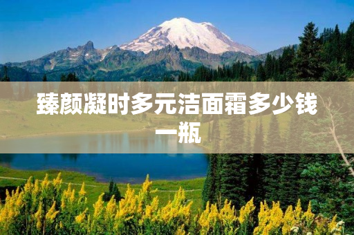臻颜凝时多元洁面霜多少钱一瓶