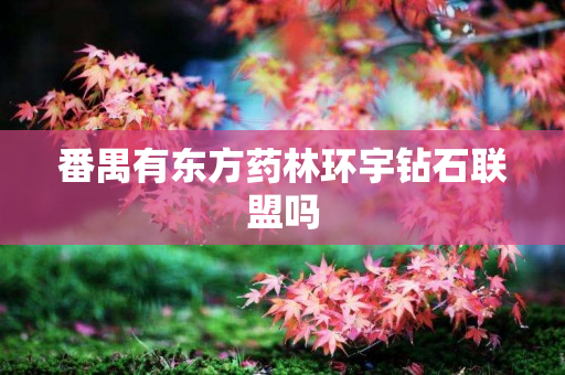 番禺有东方药林环宇钻石联盟吗