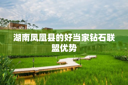 湖南凤凰县的好当家钻石联盟优势