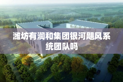 潍坊有润和集团银河飓风系统团队吗