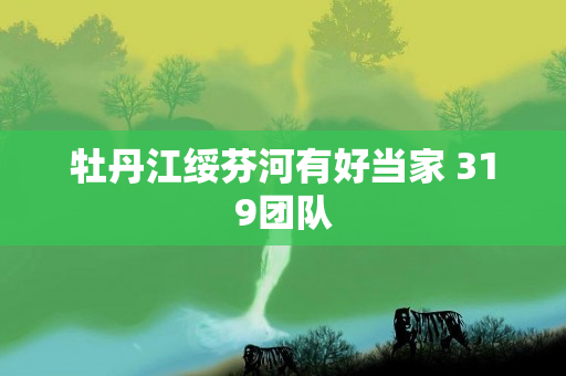 牡丹江绥芬河有好当家 319团队