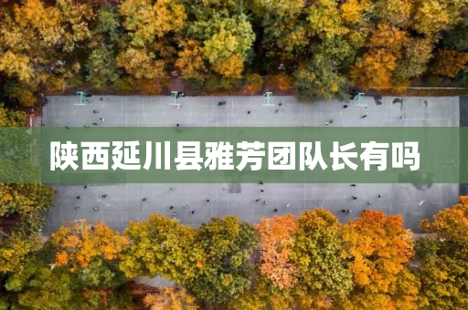 陕西延川县雅芳团队长有吗