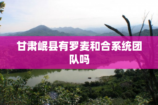 甘肃岷县有罗麦和合系统团队吗