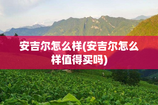 安吉尔怎么样(安吉尔怎么样值得买吗)
