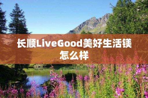 长顺LiveGood美好生活镁怎么样