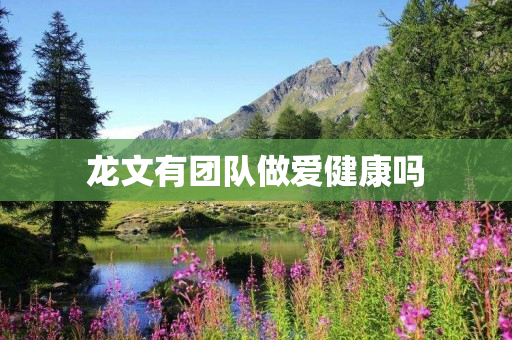 龙文有团队做爱健康吗
