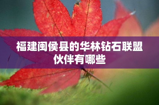 福建闽侯县的华林钻石联盟伙伴有哪些