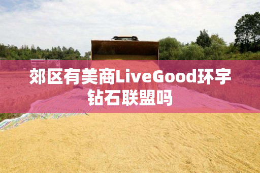 郊区有美商LiveGood环宇钻石联盟吗
