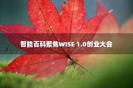智能百科聚焦WISE 1.0创业大会
