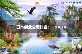 日本创业公司排名：TOP 30